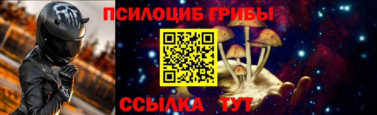 Анжеро-Судженск  Псилоцибиновые грибы прущие грибы  купить  сайты  Галлюциногенные грибы мицелий  Вход с VPN 